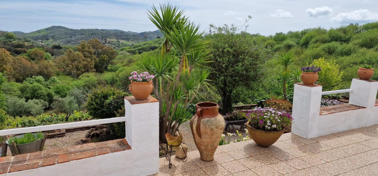 קונסטנטינה Villa Botero מראה חיצוני תמונה